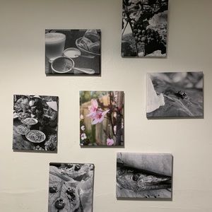 Original 8 x 10 canvas photos